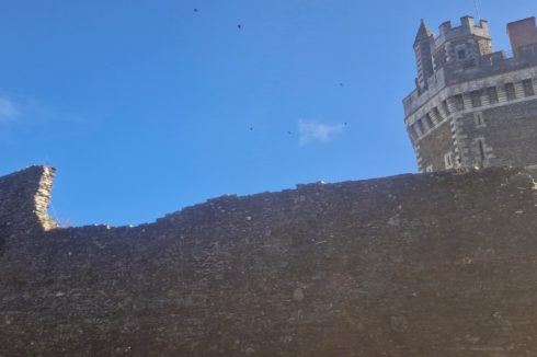 Travaux sur cordes inspection des maçonneries