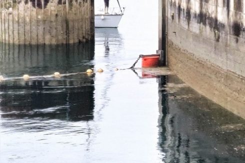 travaux sur cordes : assistance pour pose d'enceintes